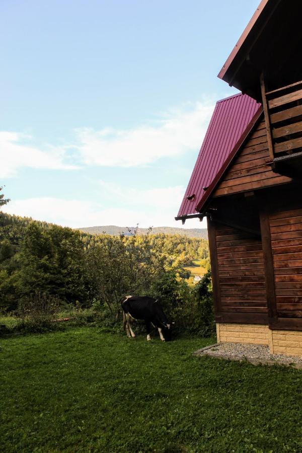Cottage "Karpatske Shale" Iaremcea Exterior foto