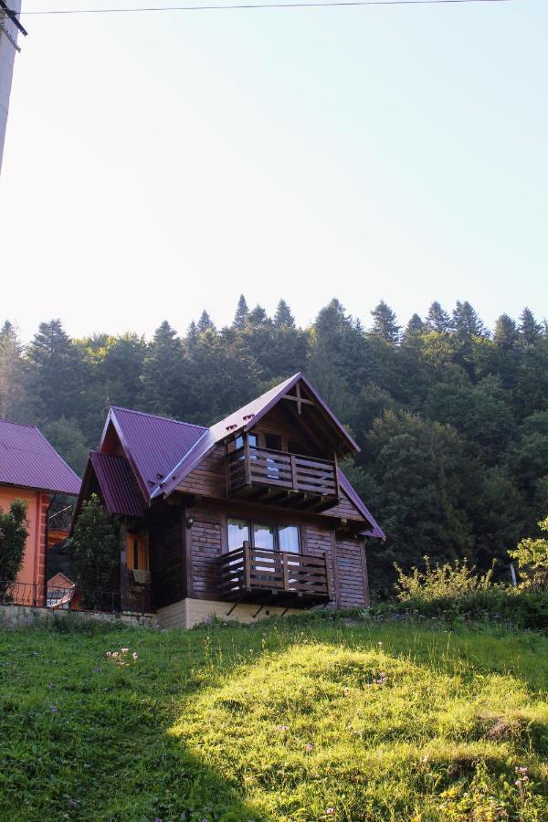 Cottage "Karpatske Shale" Iaremcea Exterior foto