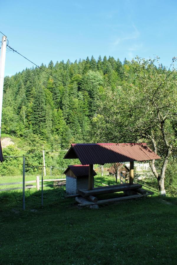 Cottage "Karpatske Shale" Iaremcea Exterior foto
