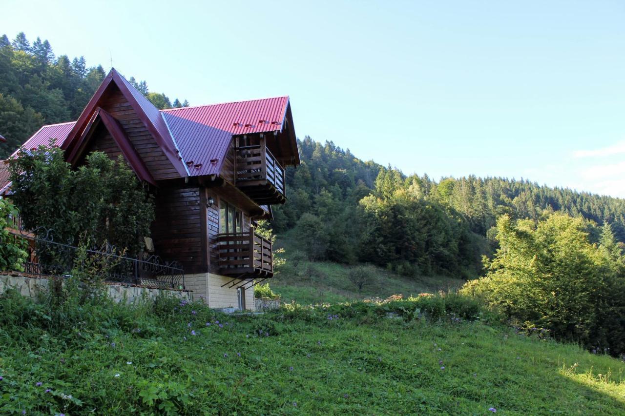 Cottage "Karpatske Shale" Iaremcea Exterior foto