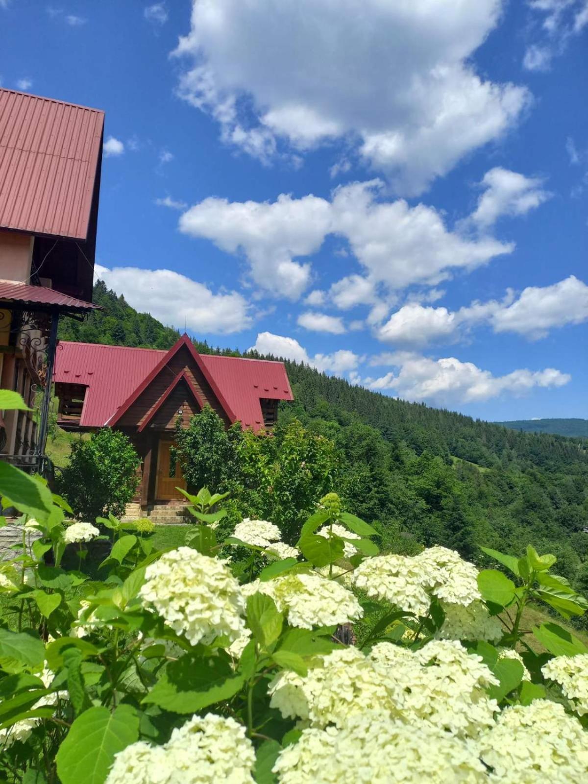 Cottage "Karpatske Shale" Iaremcea Exterior foto