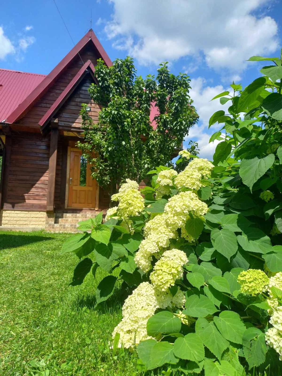 Cottage "Karpatske Shale" Iaremcea Exterior foto